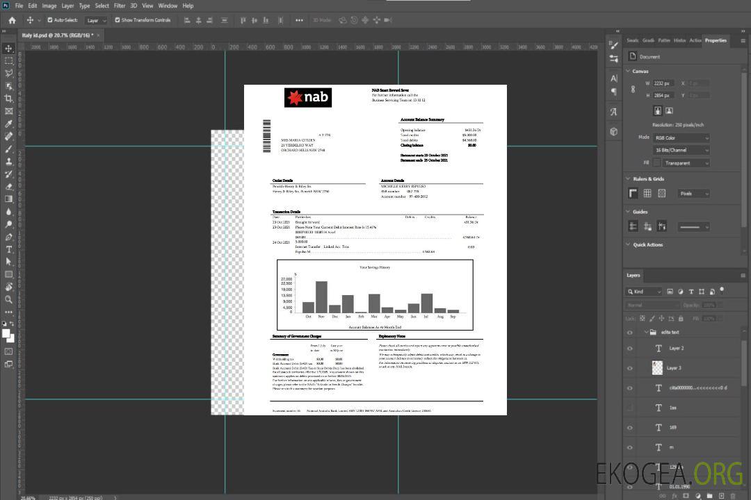 Relevé bancaire USA NAB template